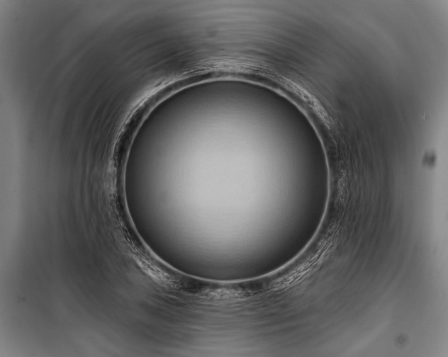 X0000101211027200806271410