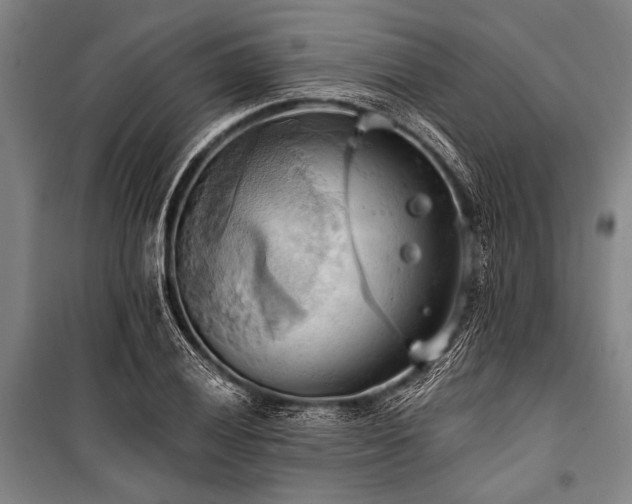 X0000101211028200806271410