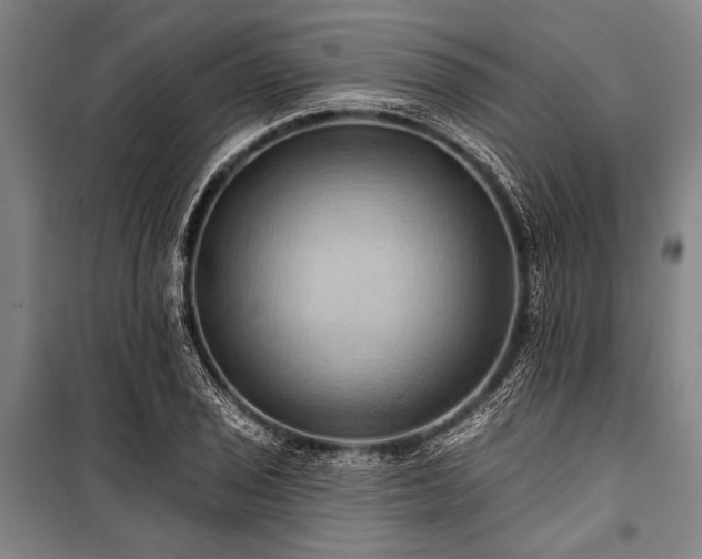 X0000101211029200806271410