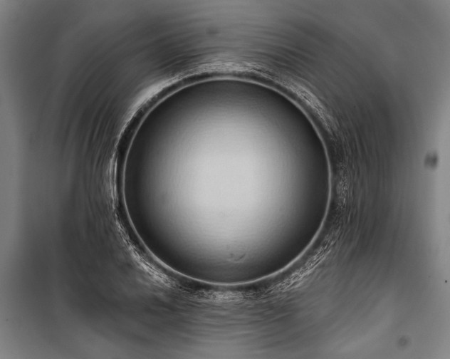 X0000101211030200806271410