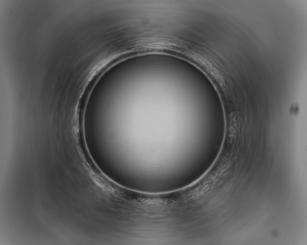 X0000101211031200806271410