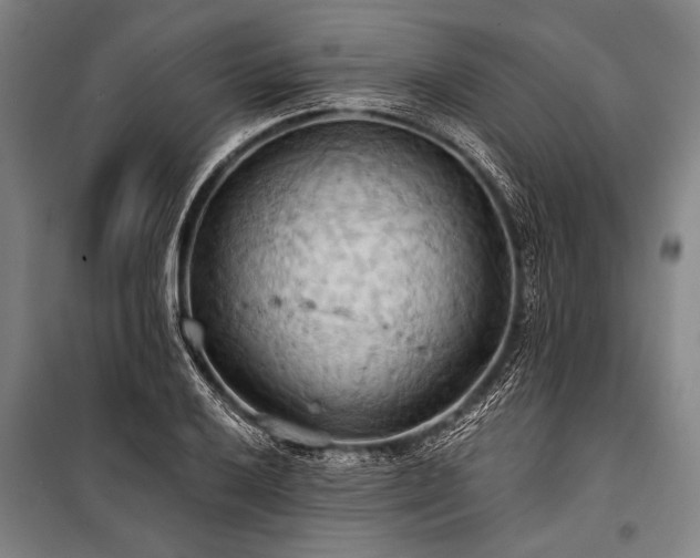 X0000101211032200806271410