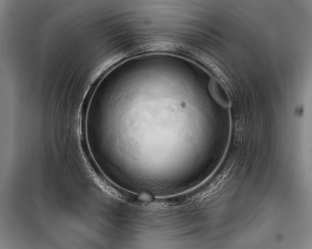 X0000101211034200806271410
