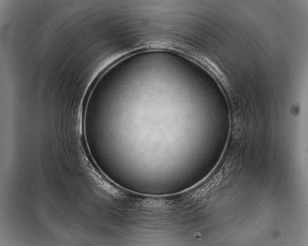 X0000101211036200806271410