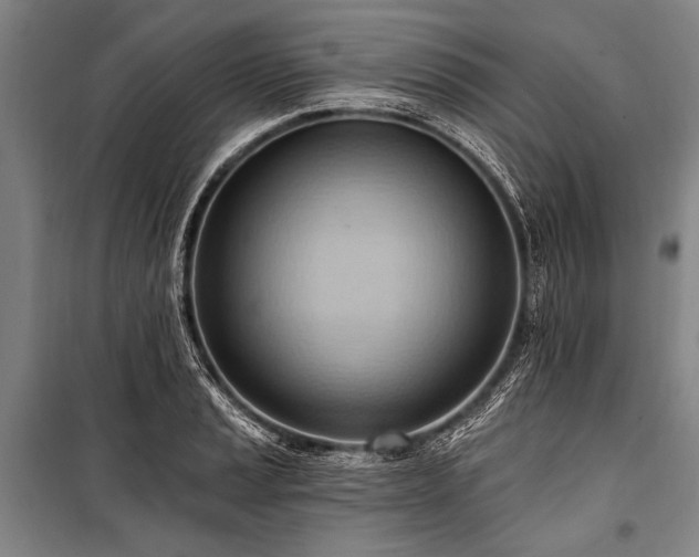 X0000101211037200806271410