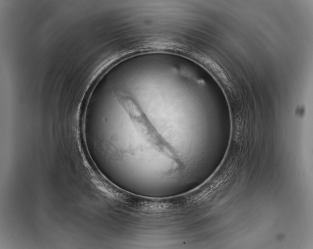 X0000101211039200806271410