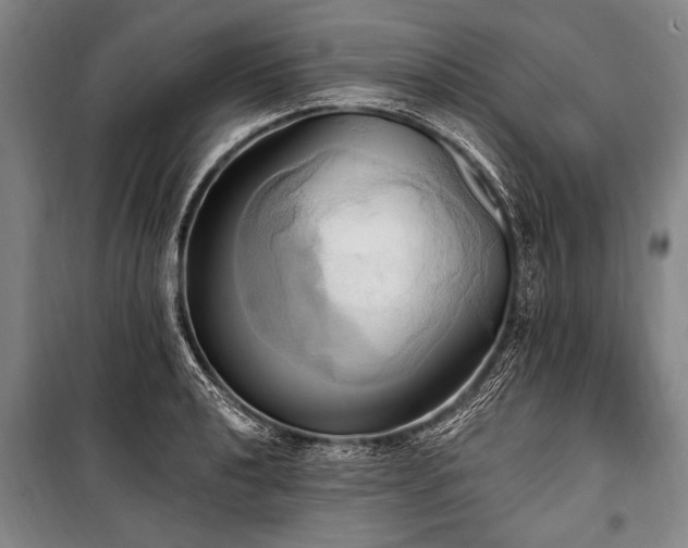 X0000101211040200806271410