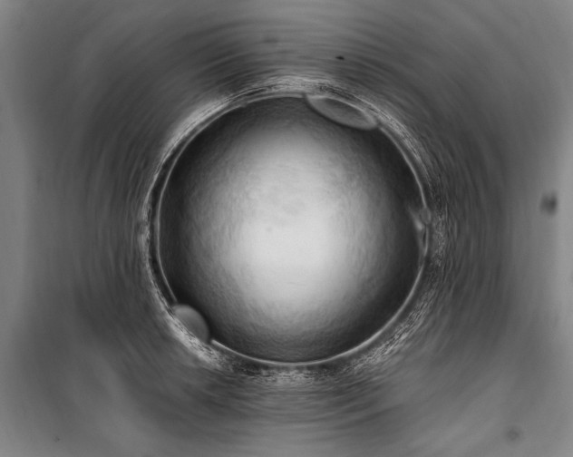 X0000101211042200806271410