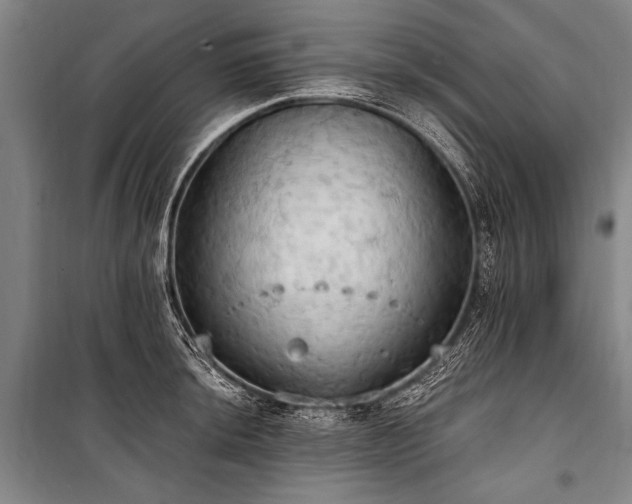 X0000101211044200806271410