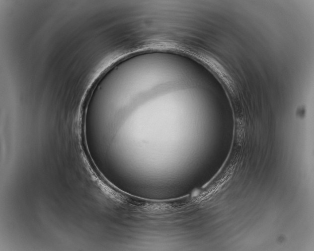 X0000101211046200806271410