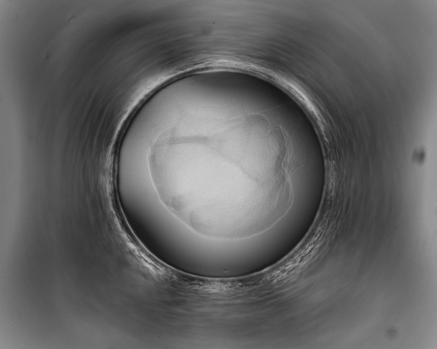 X0000101211048200806271410