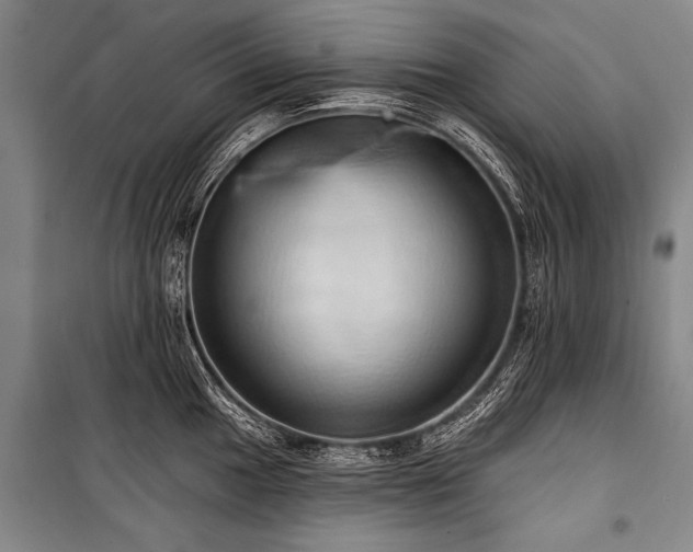 X0000101211049200806271410