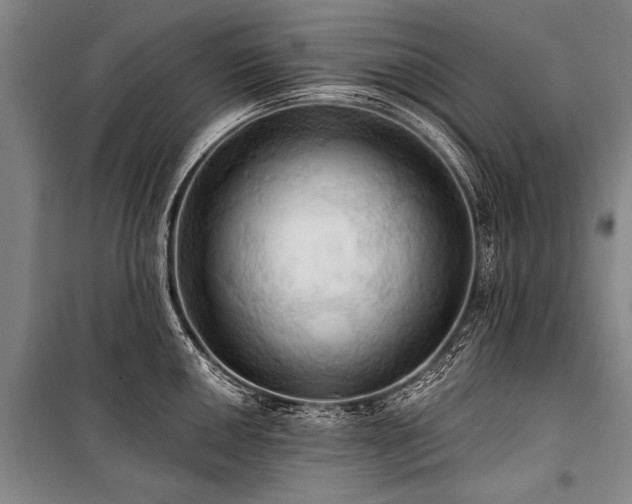 X0000101211050200806271410