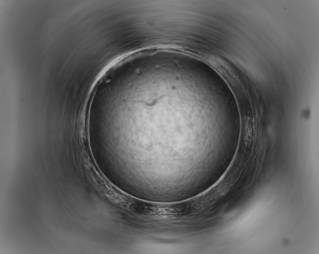 X0000101211052200806271410