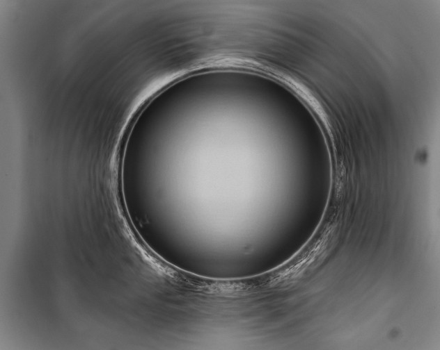 X0000101211053200806271410