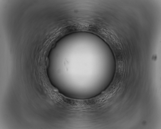X0000101211057200806271409