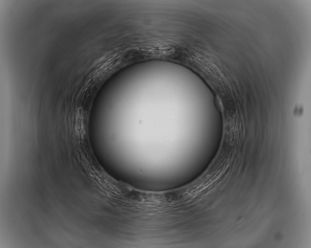 X0000101211058200806271409