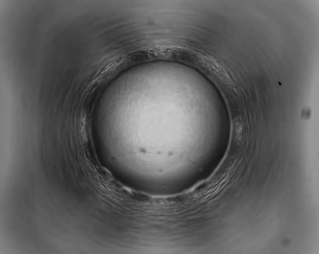 X0000101211060200806271409