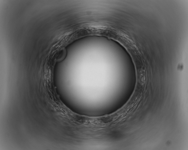 X0000101211061200806271409