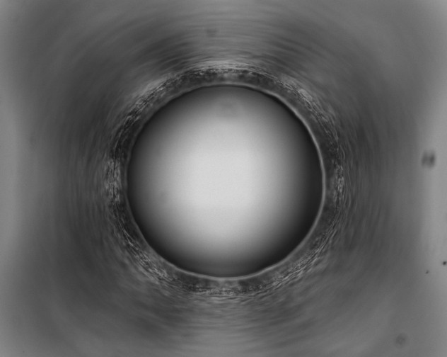 X0000101211062200806271409