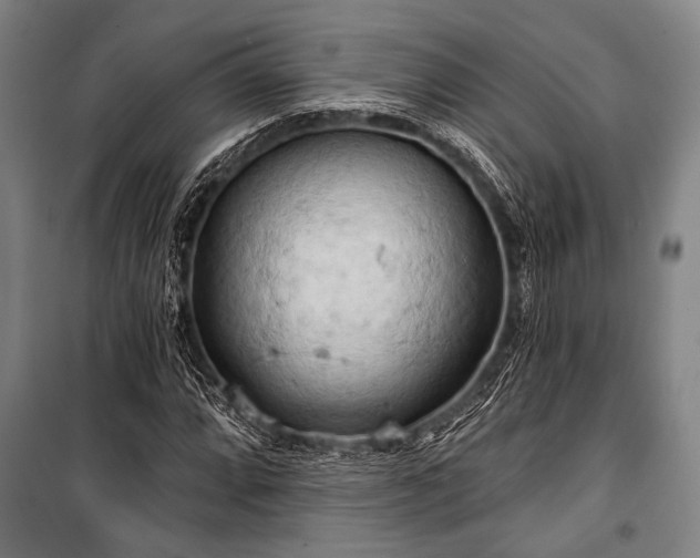 X0000101211064200806271409