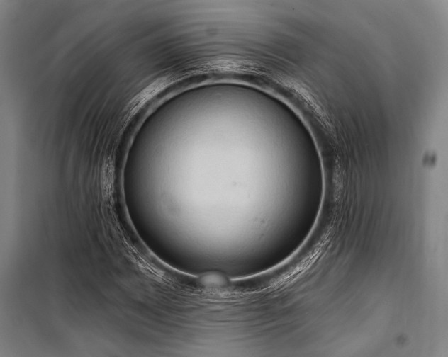 X0000101211065200806271409