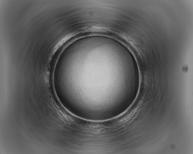 X0000101211066200806271409
