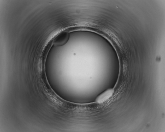 X0000101211069200806271409