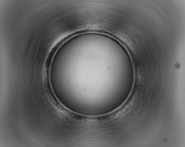X0000101211070200806271409