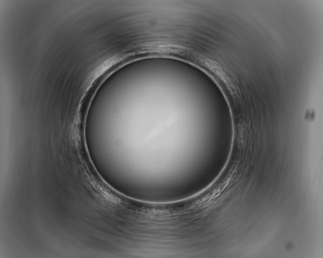X0000101211071200806271409