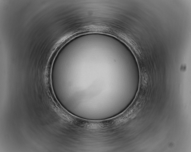 X0000101211074200806271409