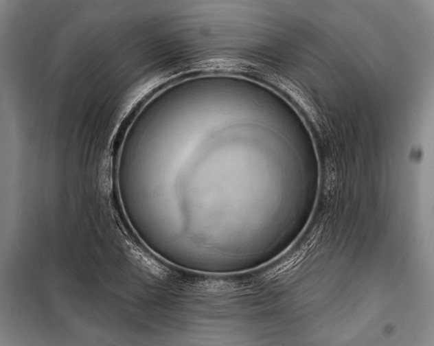 X0000101211075200806271409