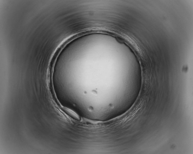 X0000101211076200806271409