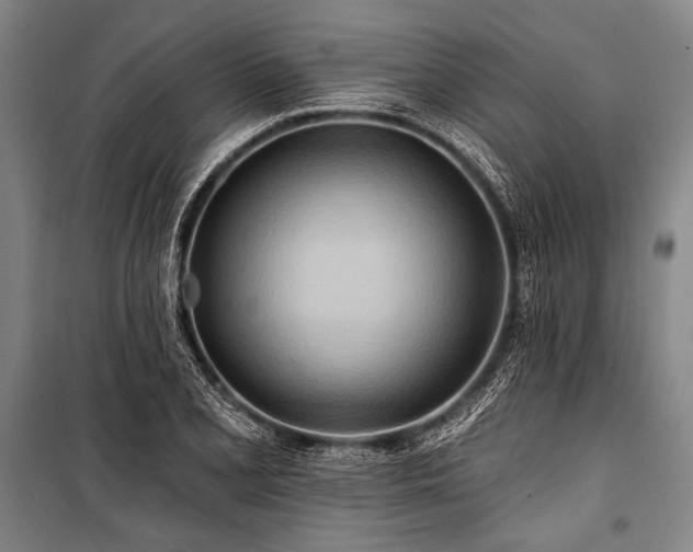 X0000101211077200806271409