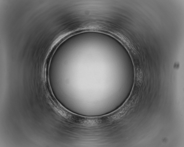 X0000101211078200806271409