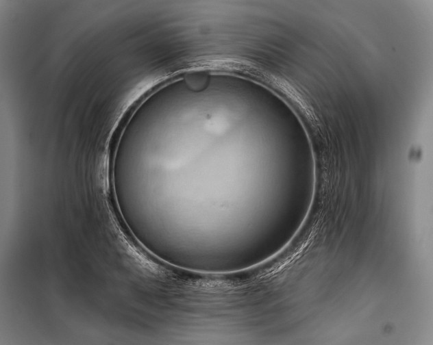 X0000101211079200806271409