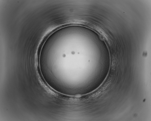 X0000101211080200806271409