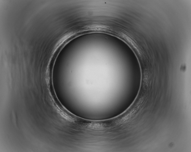 X0000101211082200806271409