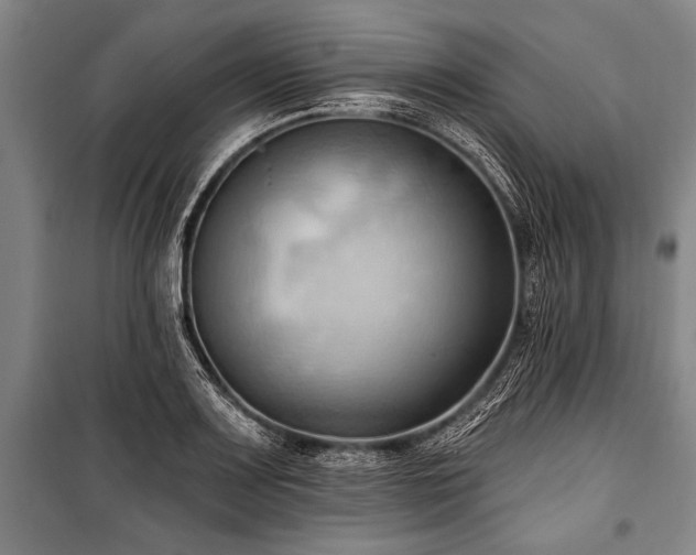 X0000101211083200806271409