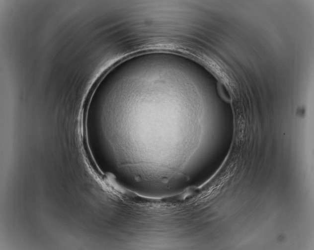 X0000101211084200806271409