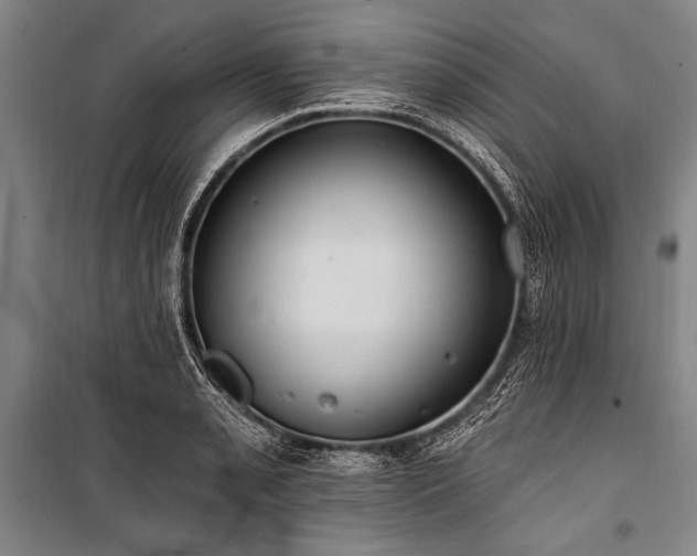 X0000101211085200806271409
