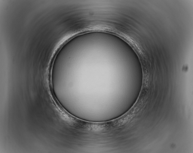 X0000101211086200806271409