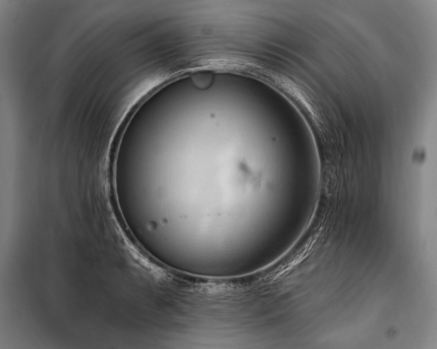 X0000101211087200806271409
