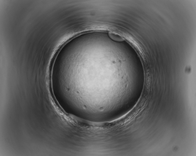 X0000101211088200806271409