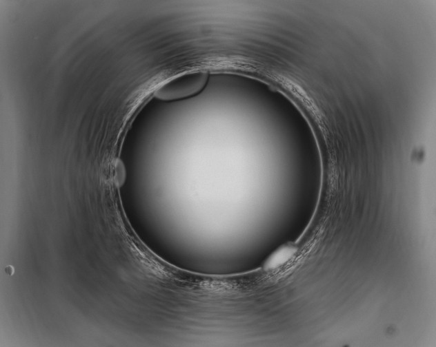 X0000101211089200806271409