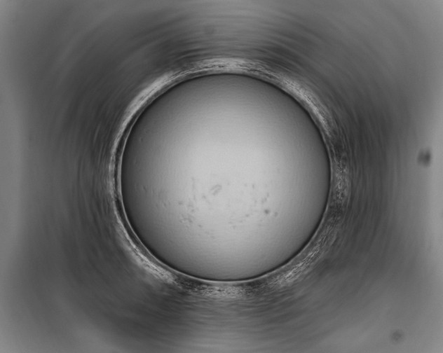 X0000101211090200806271409