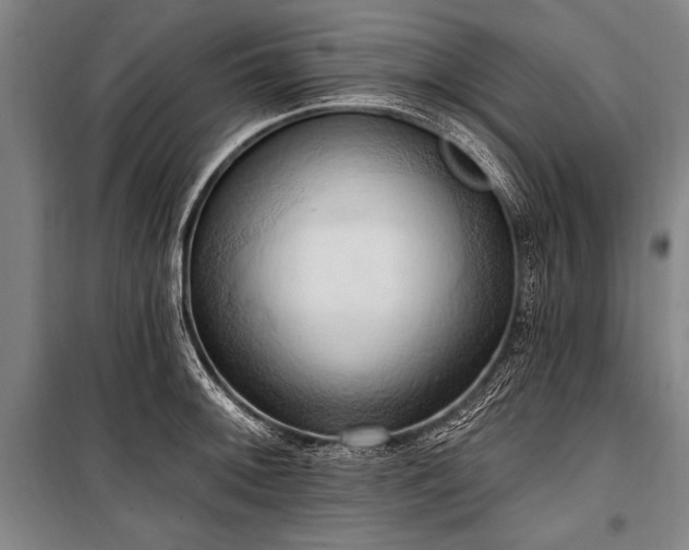 X0000101211092200806271409
