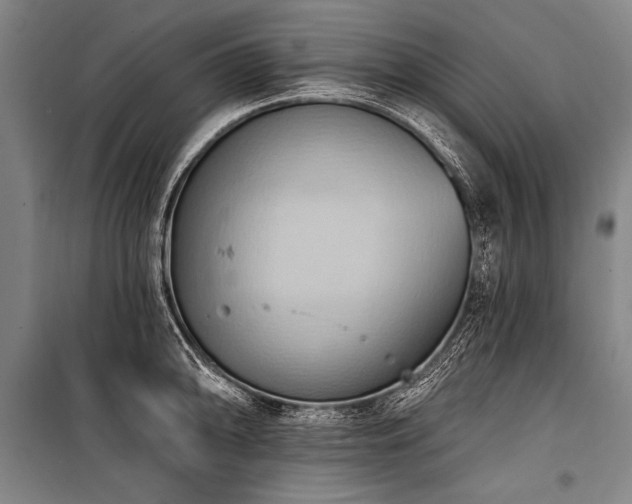 X0000101211094200806271409