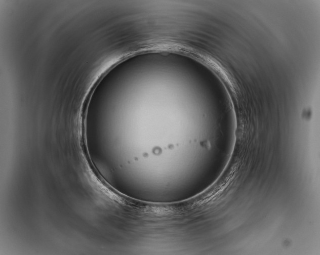 X0000101211095200806271409
