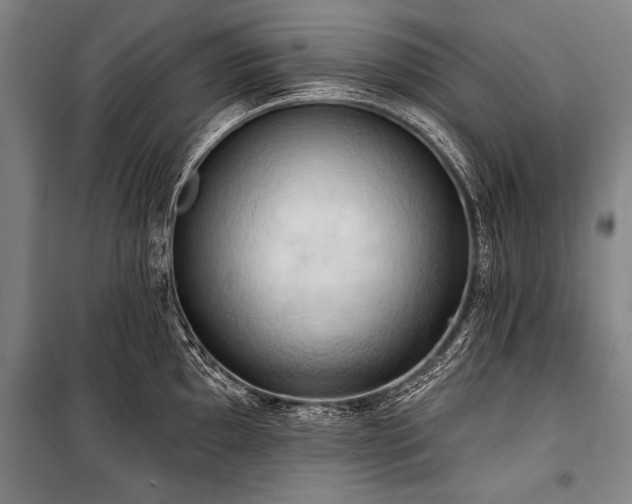 X0000101211097200806271409
